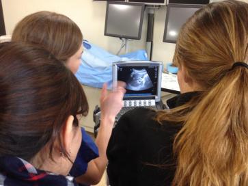 Medical students looking at ultrasound