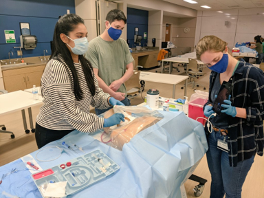 Doctors working with simulator