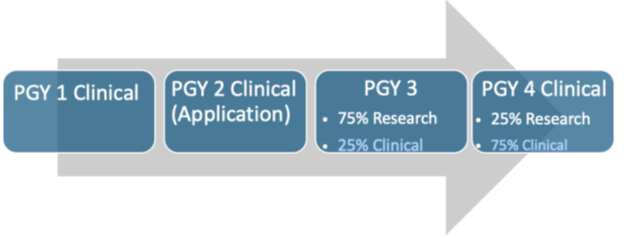 Curriculum schedule for the Resident Research Fellowship Program