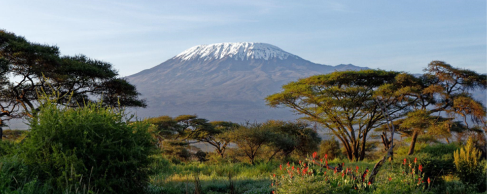 View of a snow capped Mount Kilimanjaro
